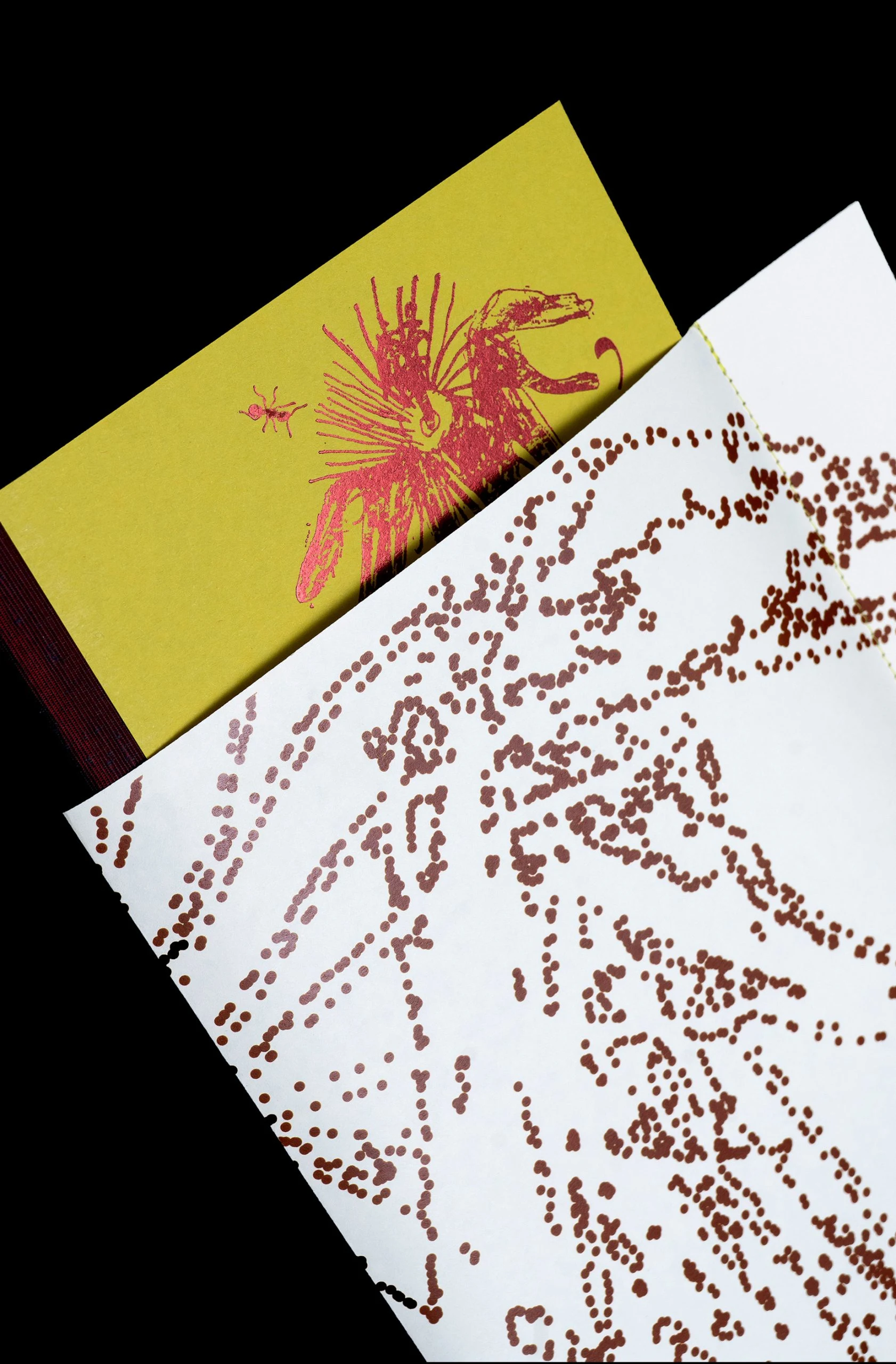 DSC00064-copy-scaled