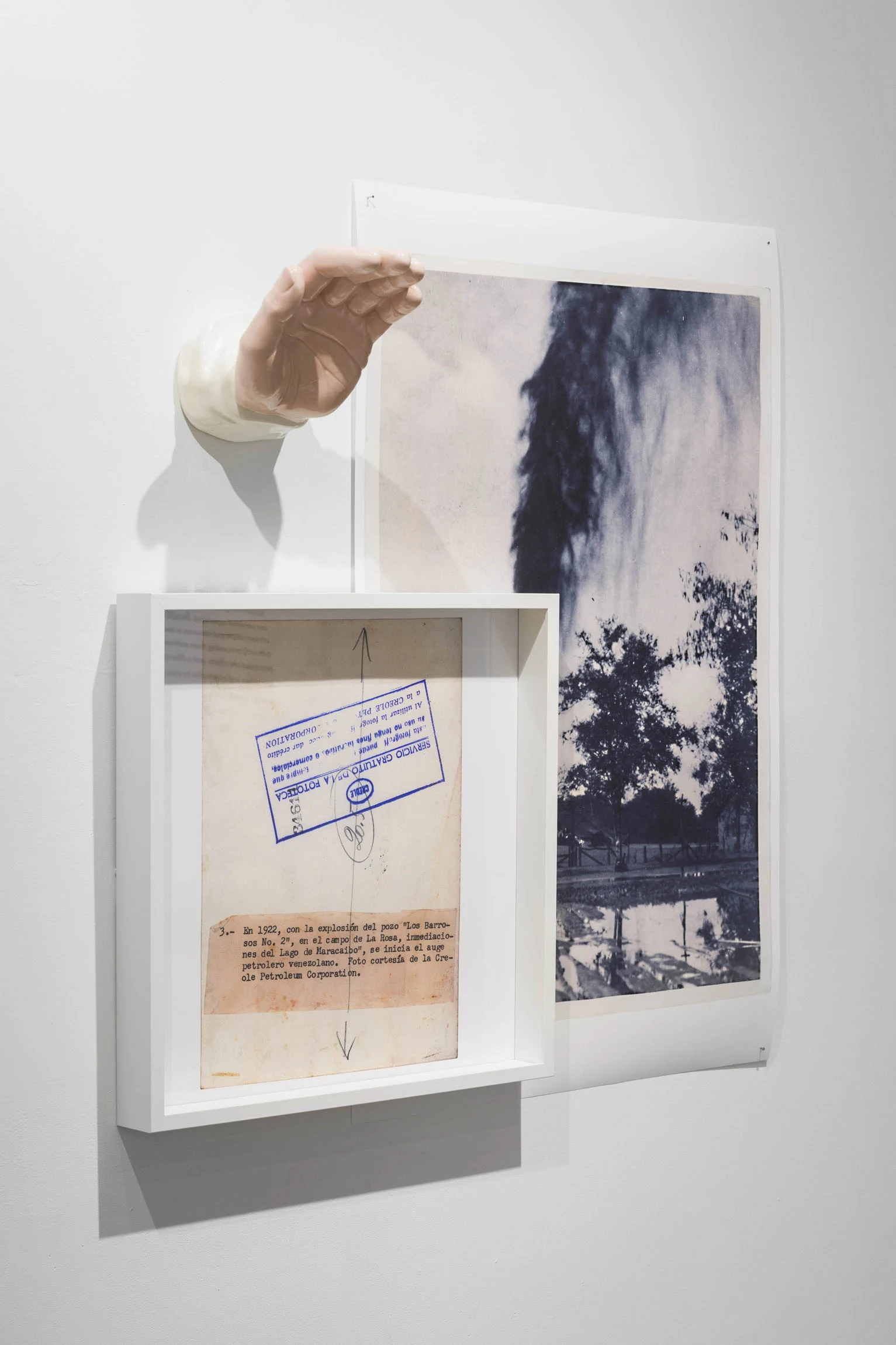 f8t7cwleqsrtsjuq1fgs