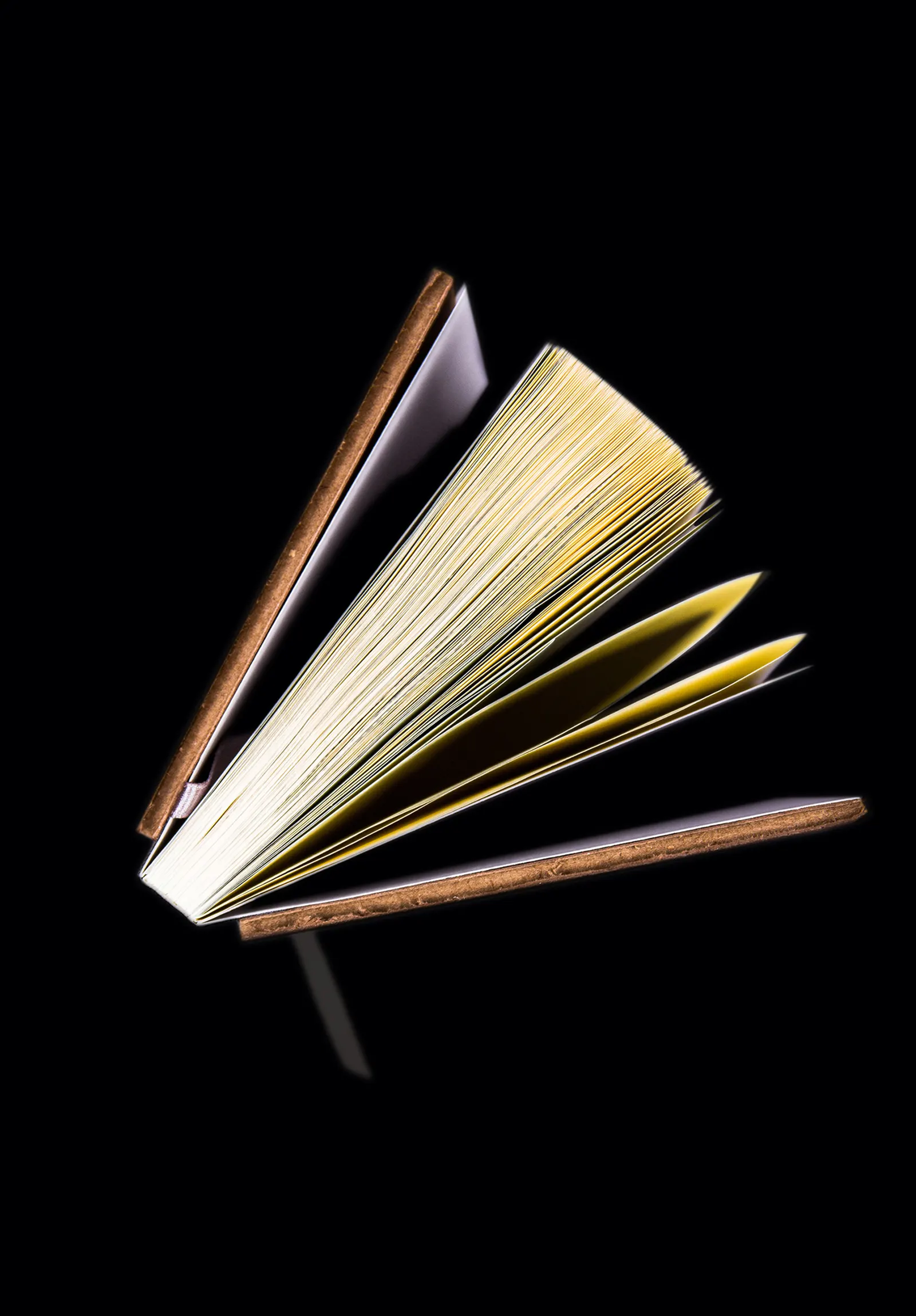 AL-FILO-300-3-copy-1